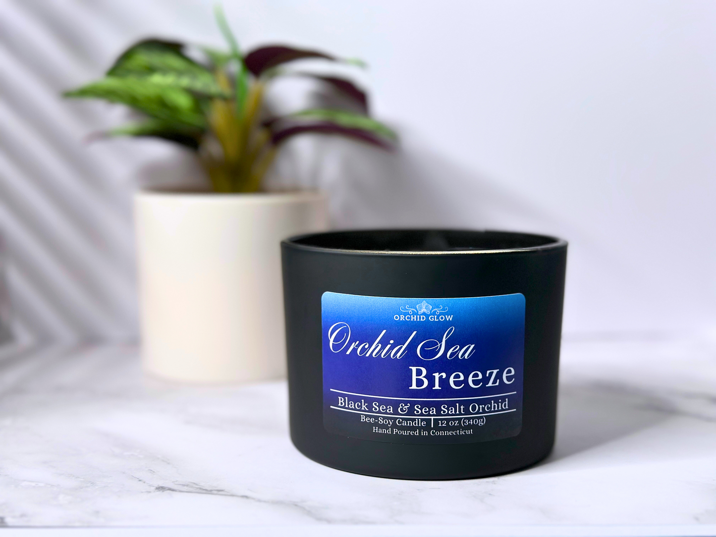 Orchid Sea Breeze 12 Oz