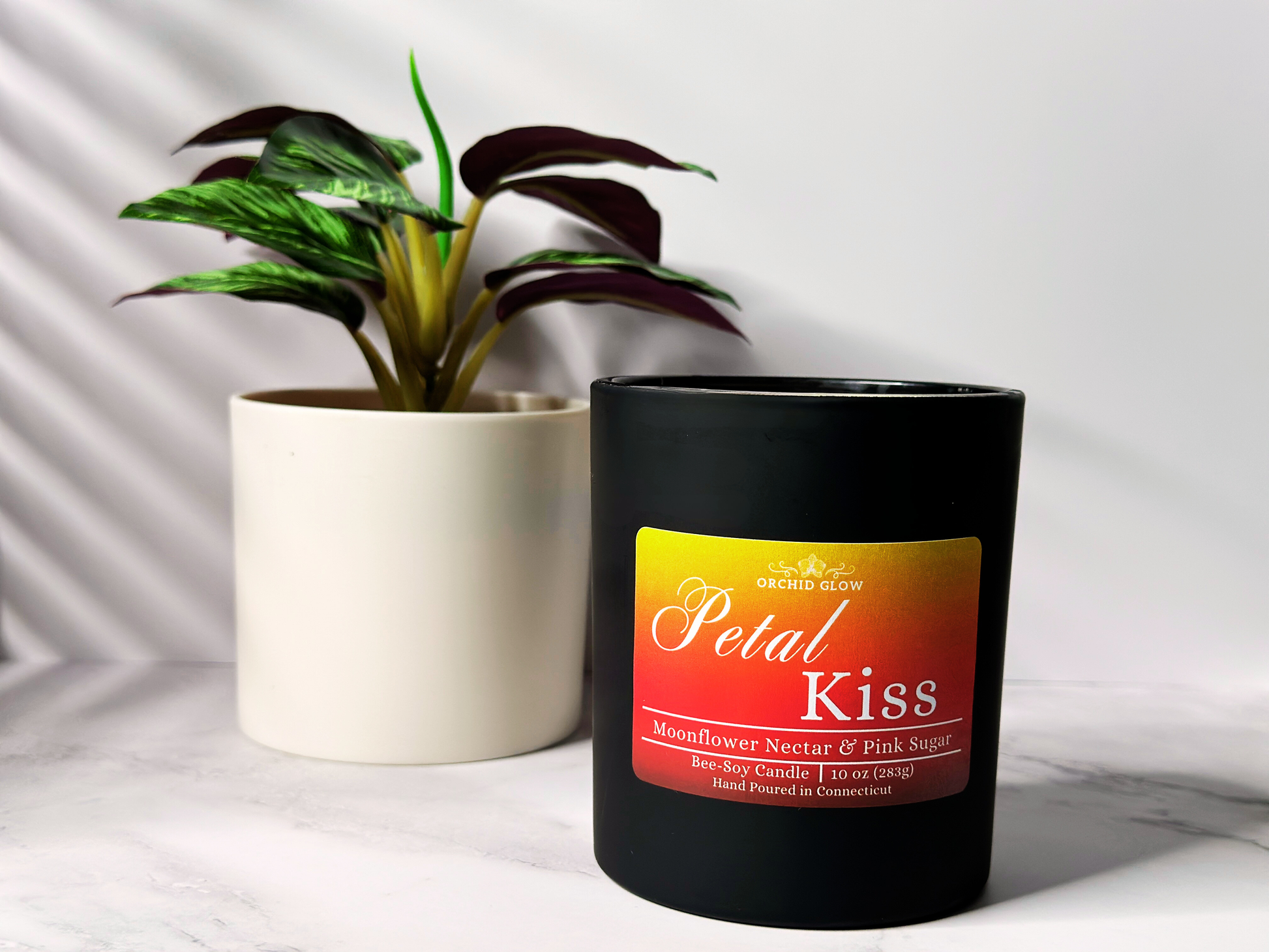 Black candle labeled 'Petal Kiss' next to a potted plant on a white surface